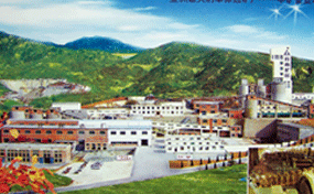 中矿金业8000t/d金矿采选工程