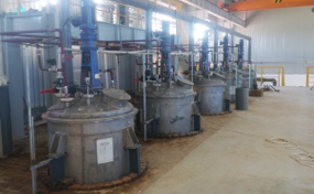 塔吉克斯坦帕鲁特4000t/d浮选+氰化炼金室